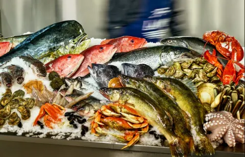 Established Fish Retail Shop for Sale – Turnkey Business Opportunity