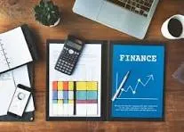 PROFESSIONAL BOOKKEEPING SERVICES