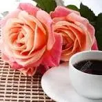 FLOWER AND COFFEE SHOP