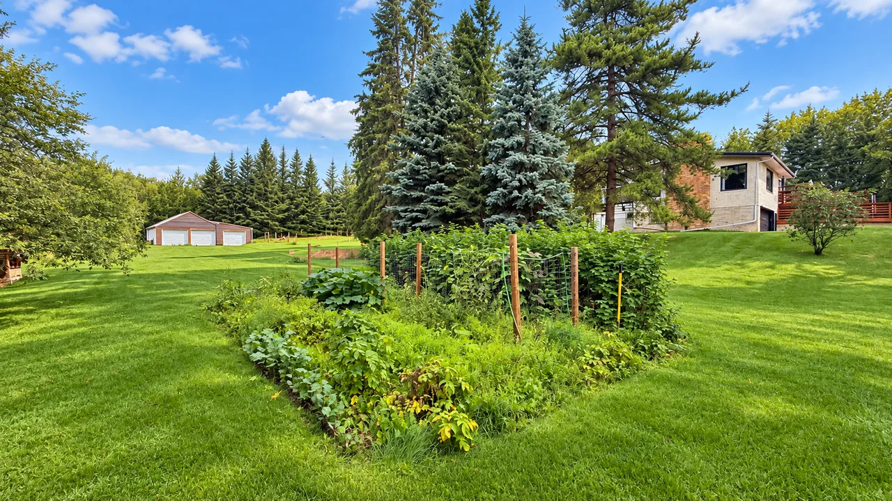 Profitable Private Dog Park Business + 5-Acre Property Near Edmonton photo 7