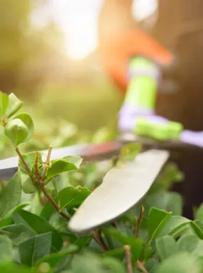 Premier Landscaping Business with 42 Year Legacy