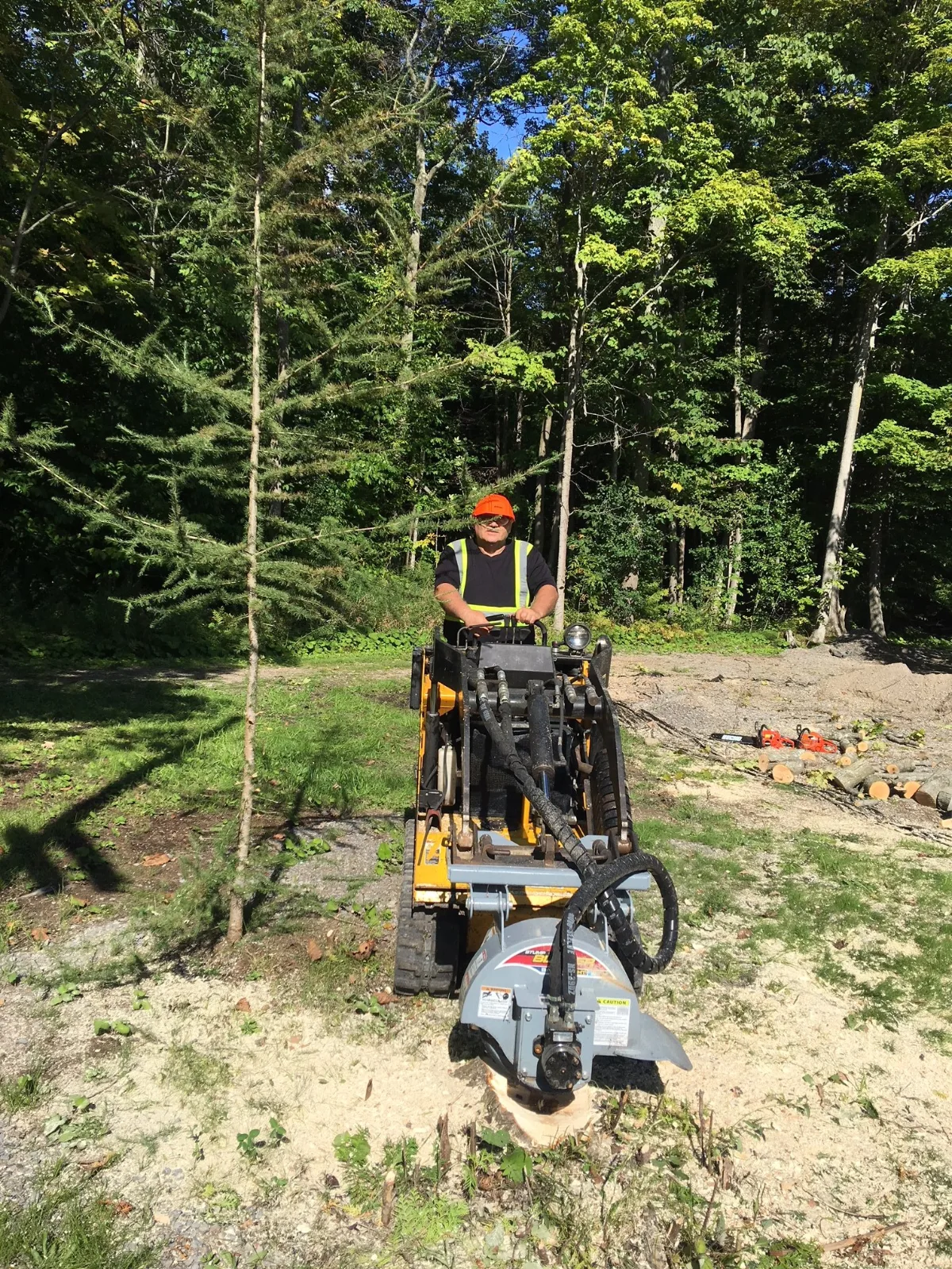 COMPLETE STUMP-GRINDING BUSINESS FOR SALE photo 2